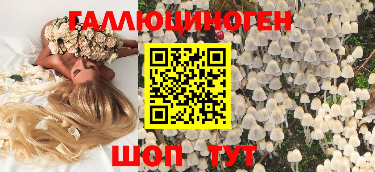 Псилоцибиновые грибы мицелий  Вход с VPN  Шелехов 